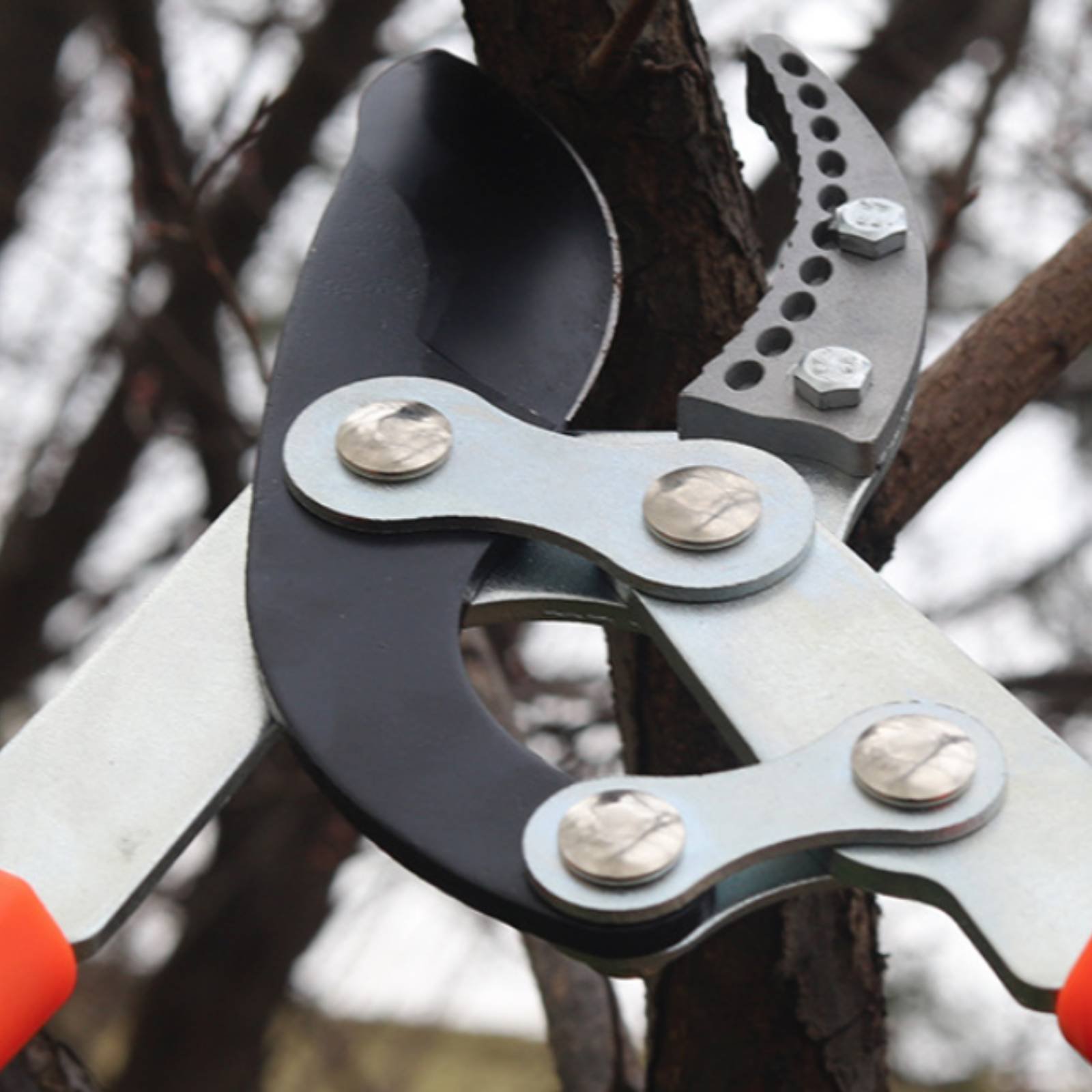 Garden Tools - Telescopische takkenknippers Scherp mes Robuuste boomknippers