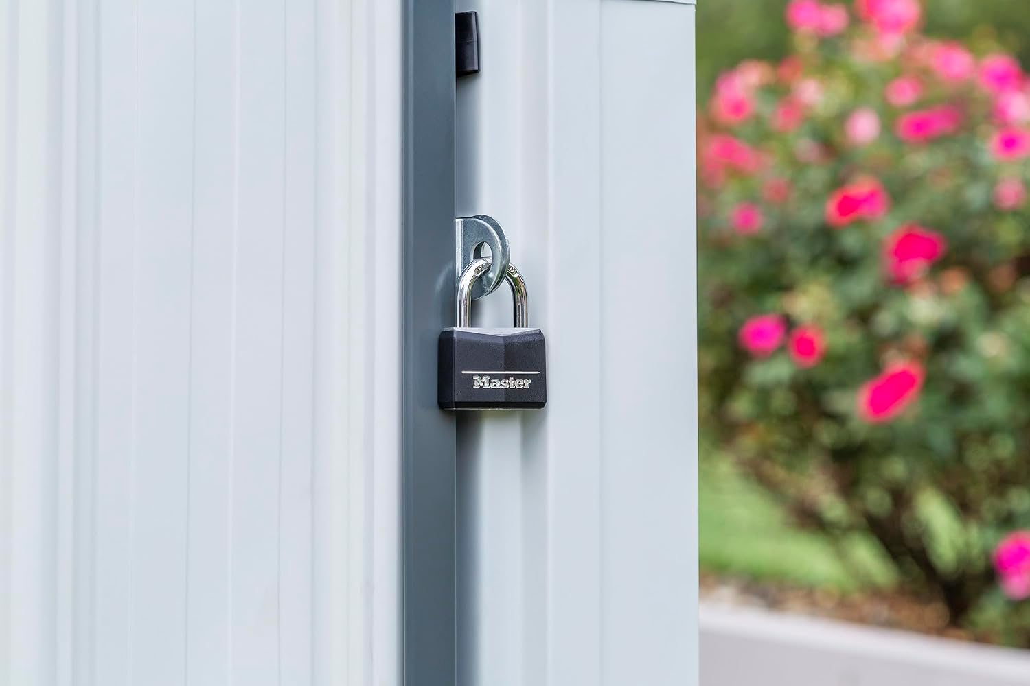 Compacte gegalvaniseerde stale - Garden Tools recensie en prijs