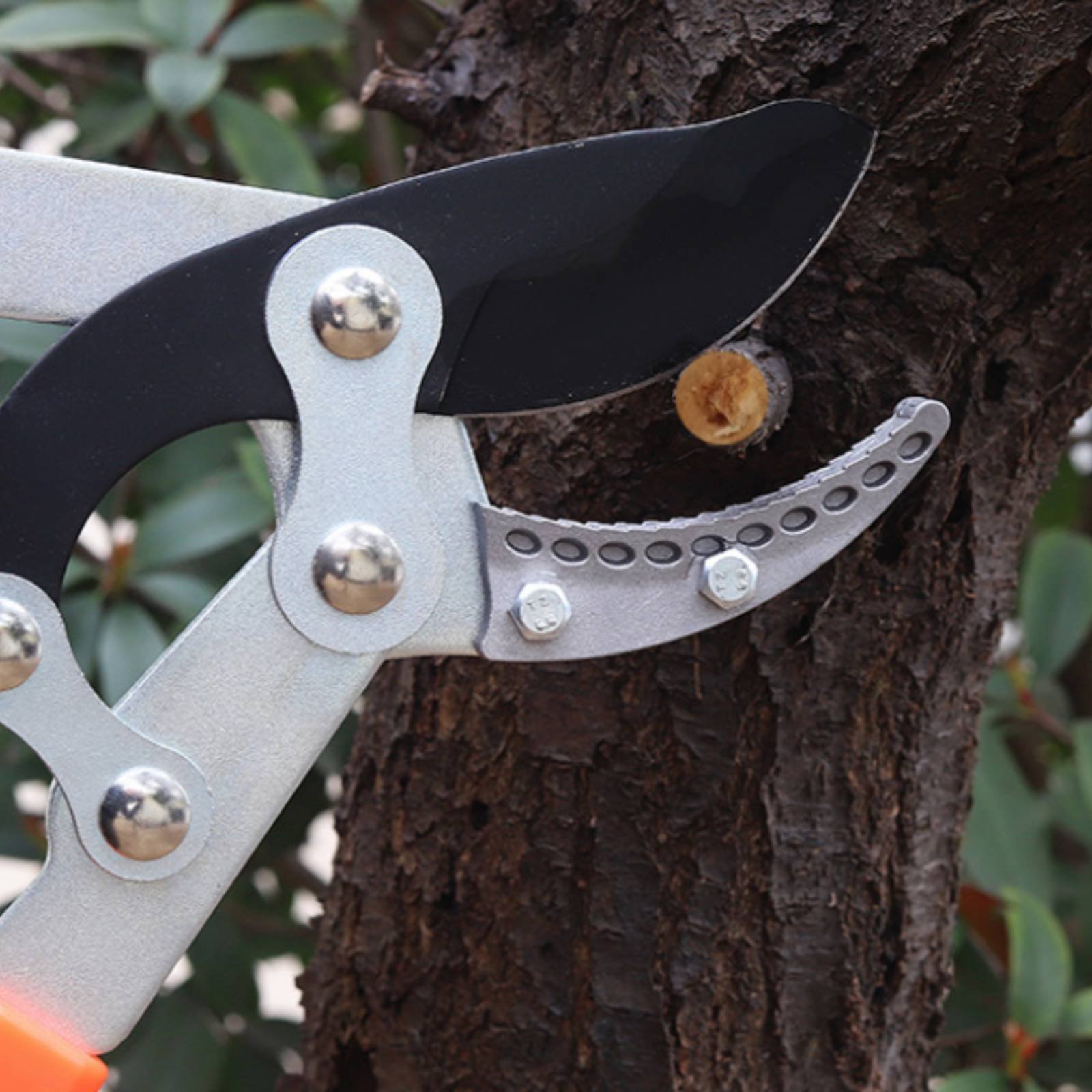 Telescopische takkenknippers S - Garden Tools recensie en prijs