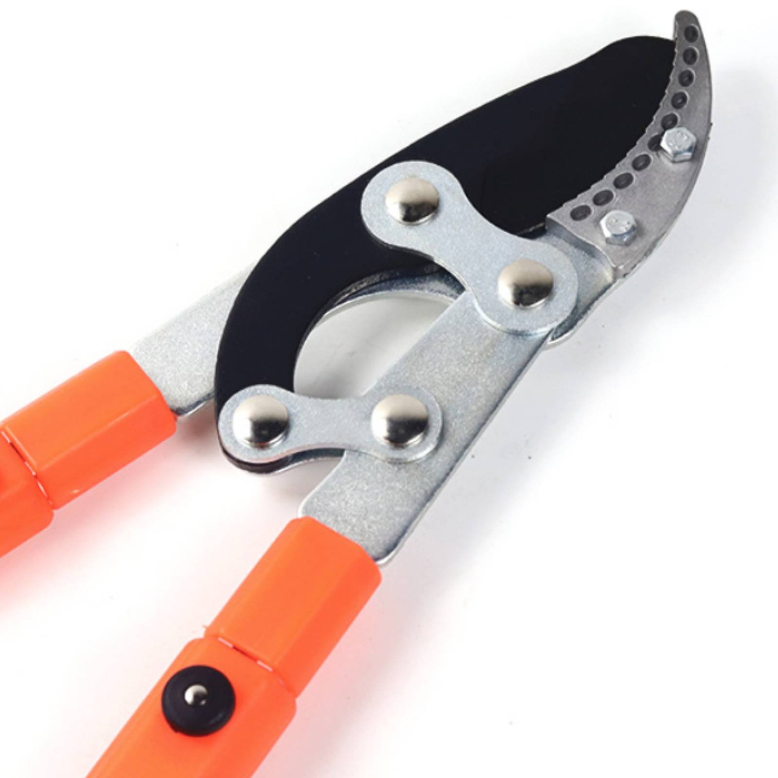 Telescopische takkenknippers S - Garden Tools recensie en prijs