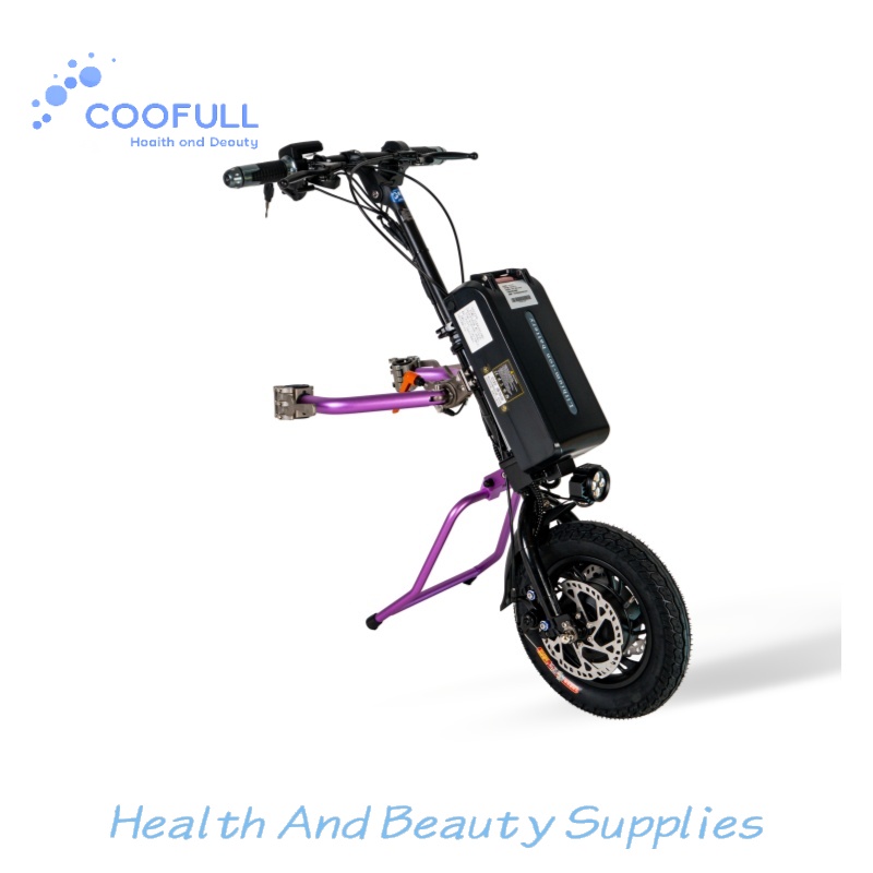 Coofull Heibao 350W 48V 15Ah 5 - Electrical recensie en prijs